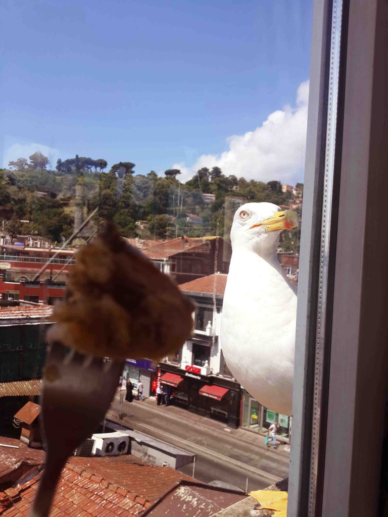 sarıyer börek ve martı